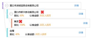 營口市濱城信息咨詢服務公司 專業信息咨詢，賦能濱城發展